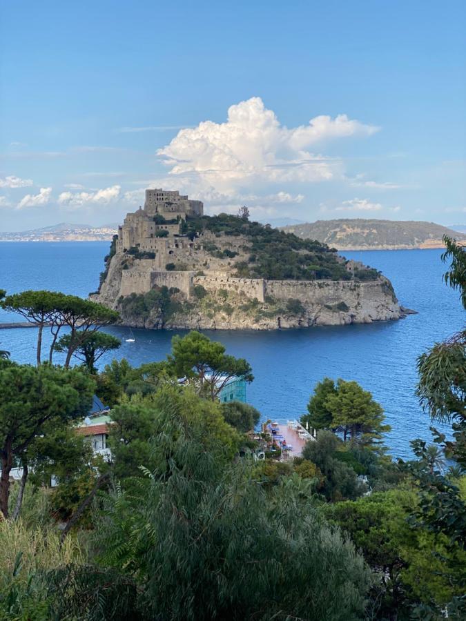 Vittoria Colonna Luxury
