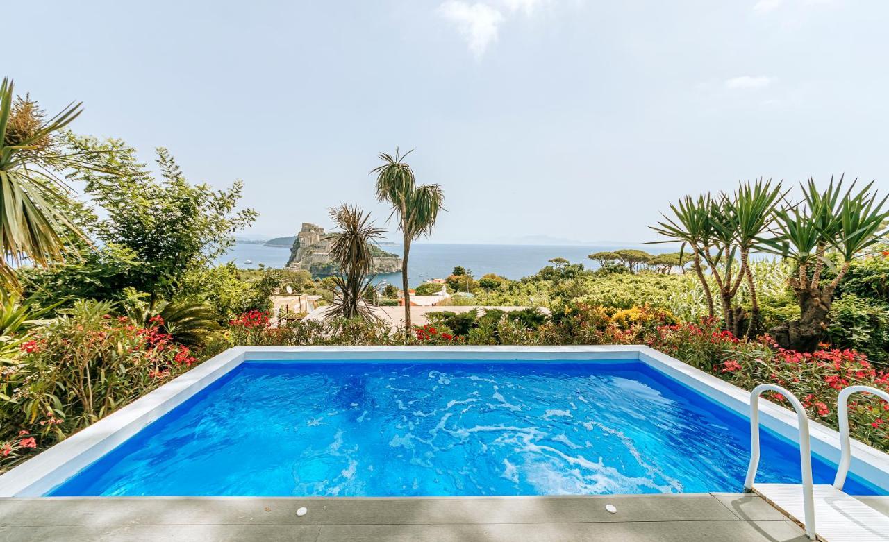 Livia Guest house *