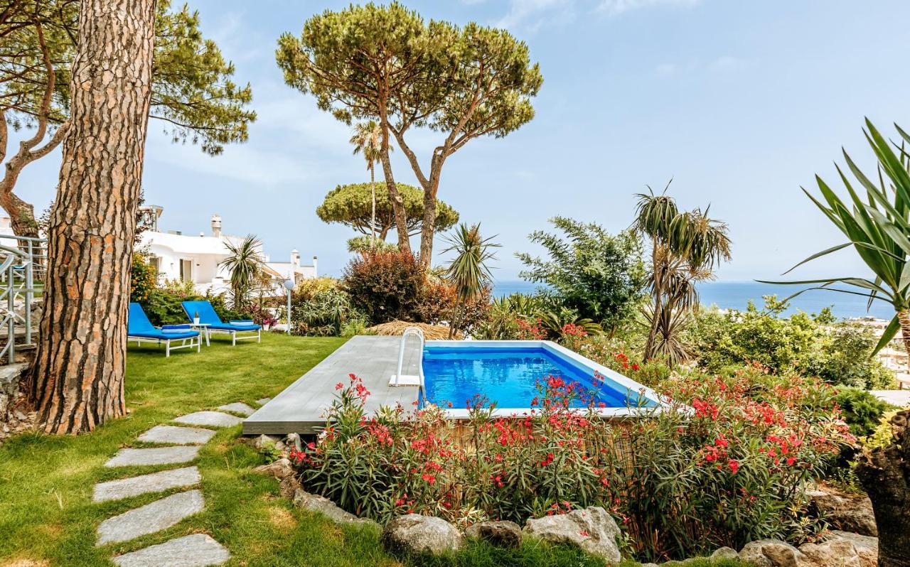 Livia Guest house *