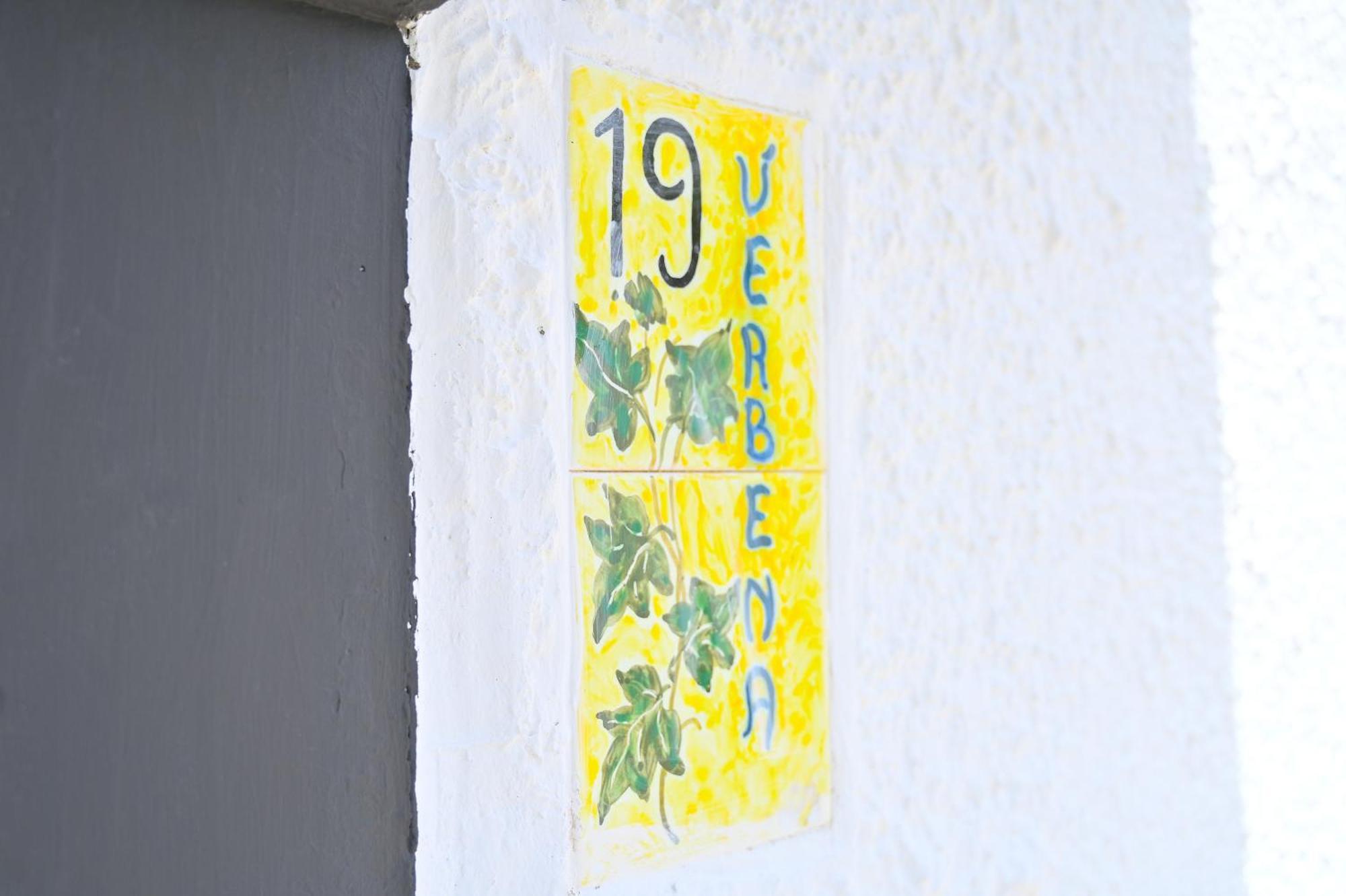 Verbena 19 *