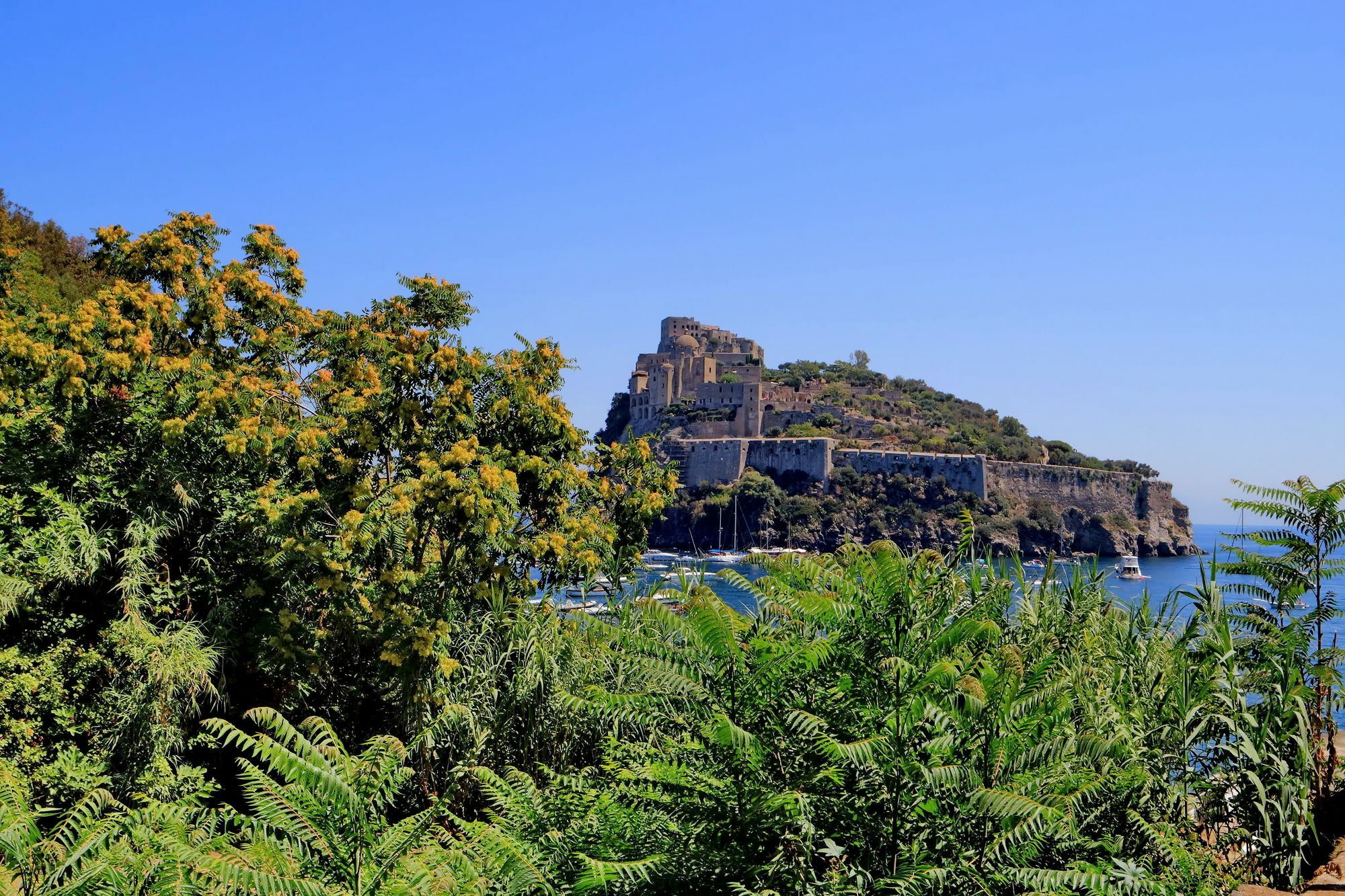 - Wr Ischia