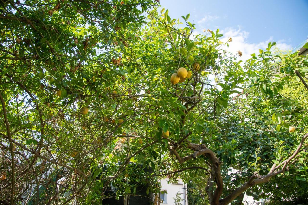 A Casa Di Mario Ischia