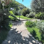 Appartamento Ischia L\'Ulivo