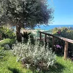 Appartamento Ischia L\'Ulivo