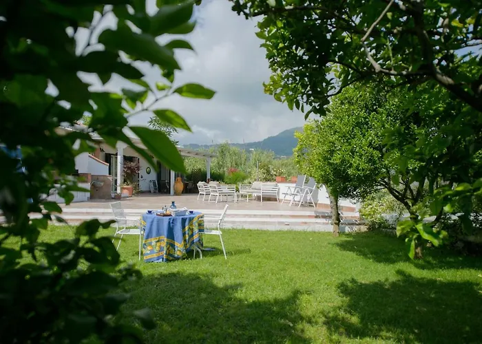 Il Poggetto