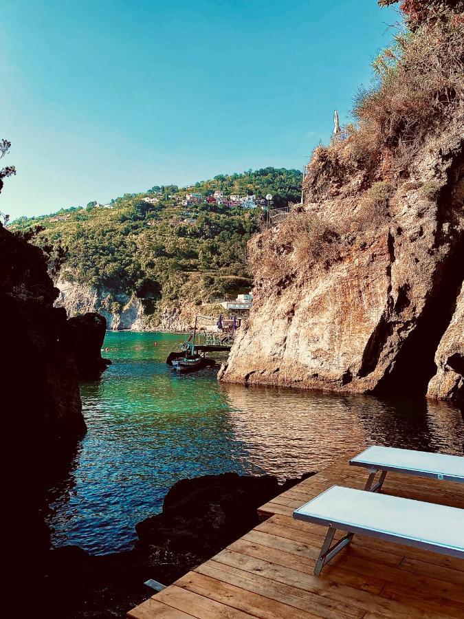 Hotel Delfini Ischia