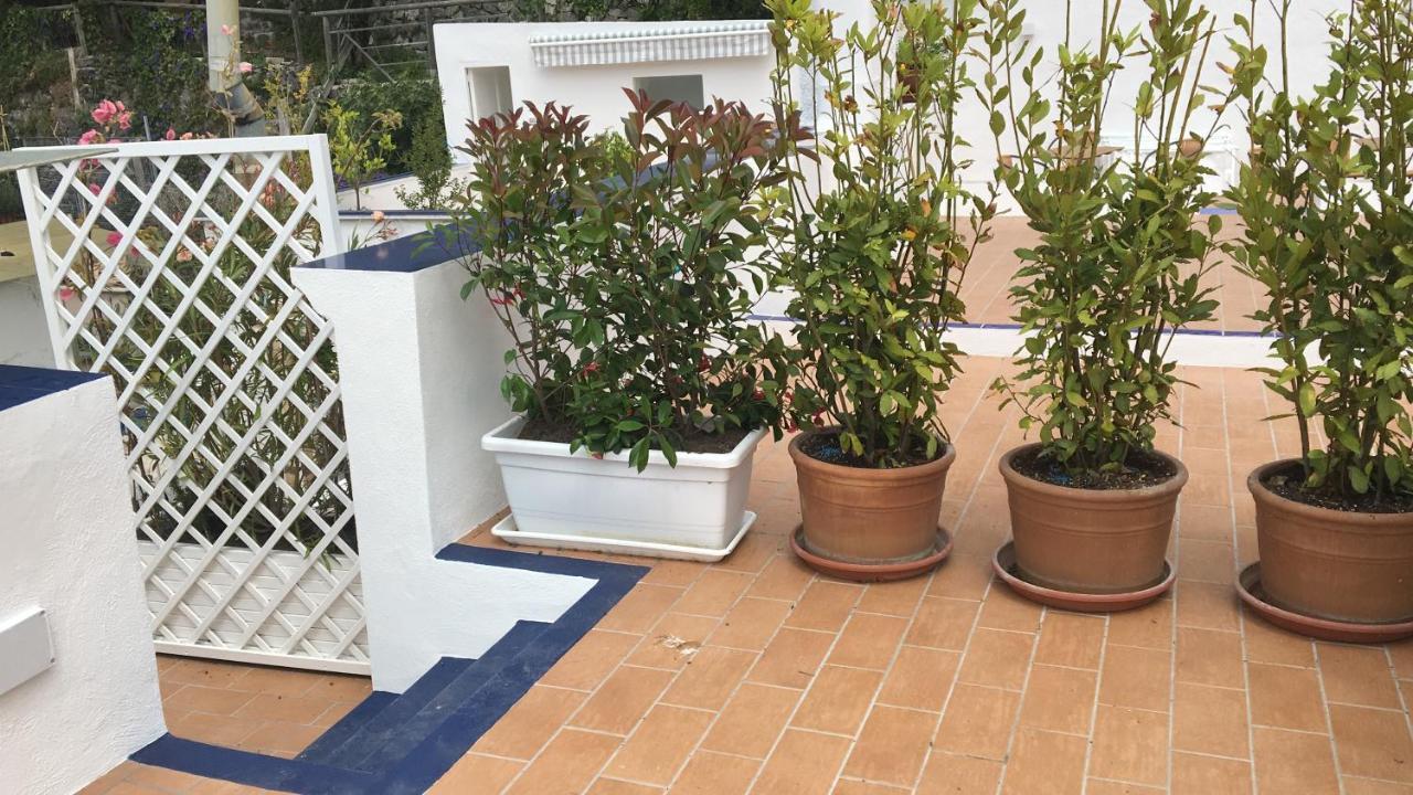 Panorama Da Cartolina Ischia