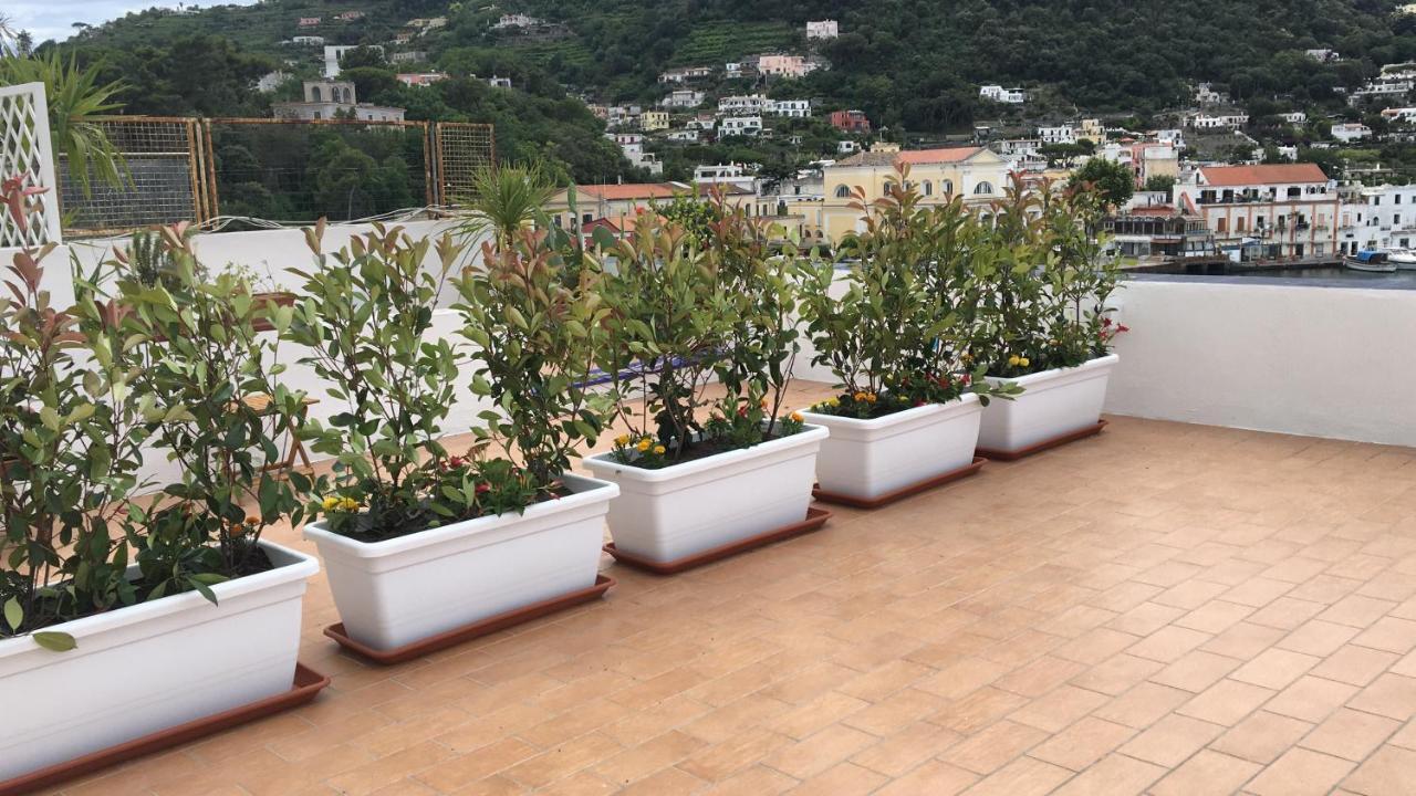 Panorama Da Cartolina Ischia
