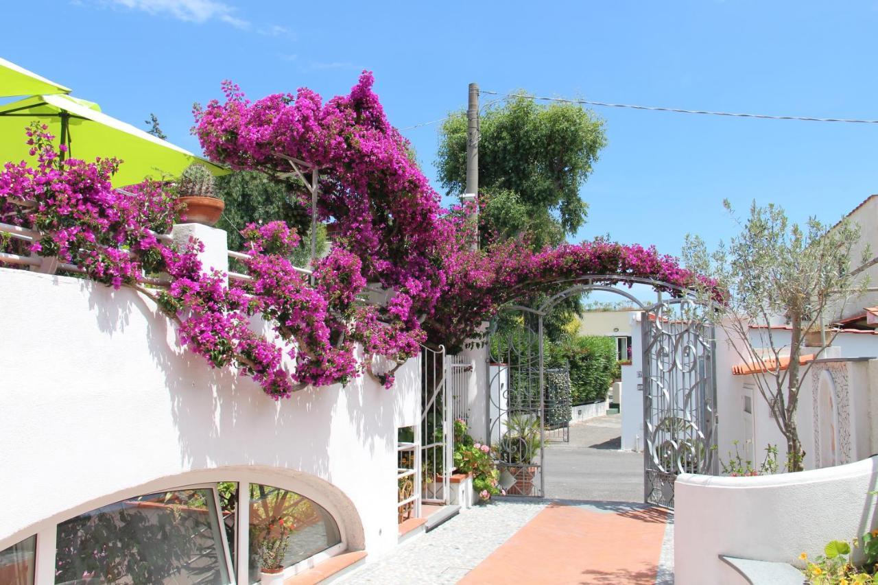 Cecilia Hotel