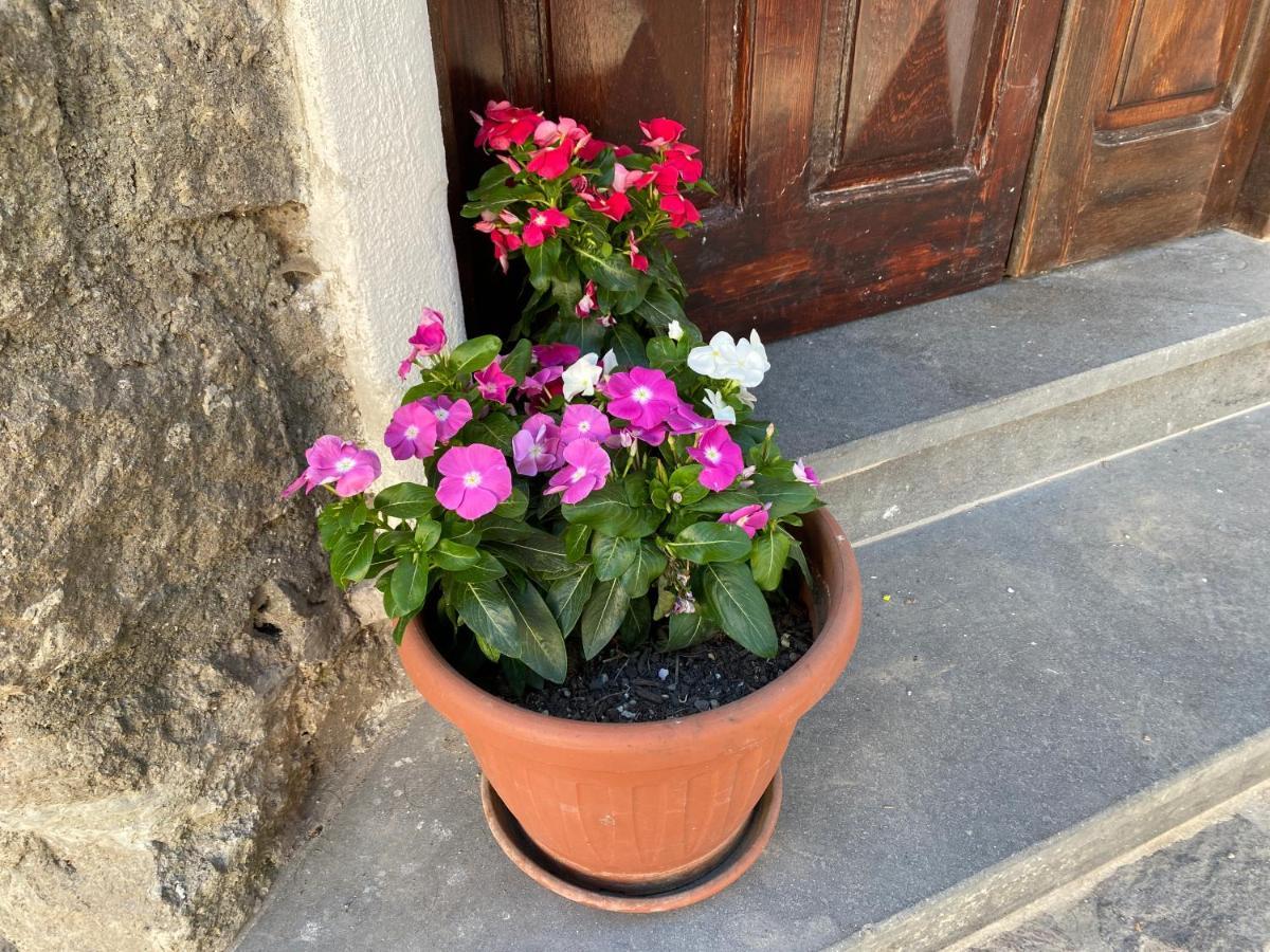 Apartment Villetta Emanuela *
