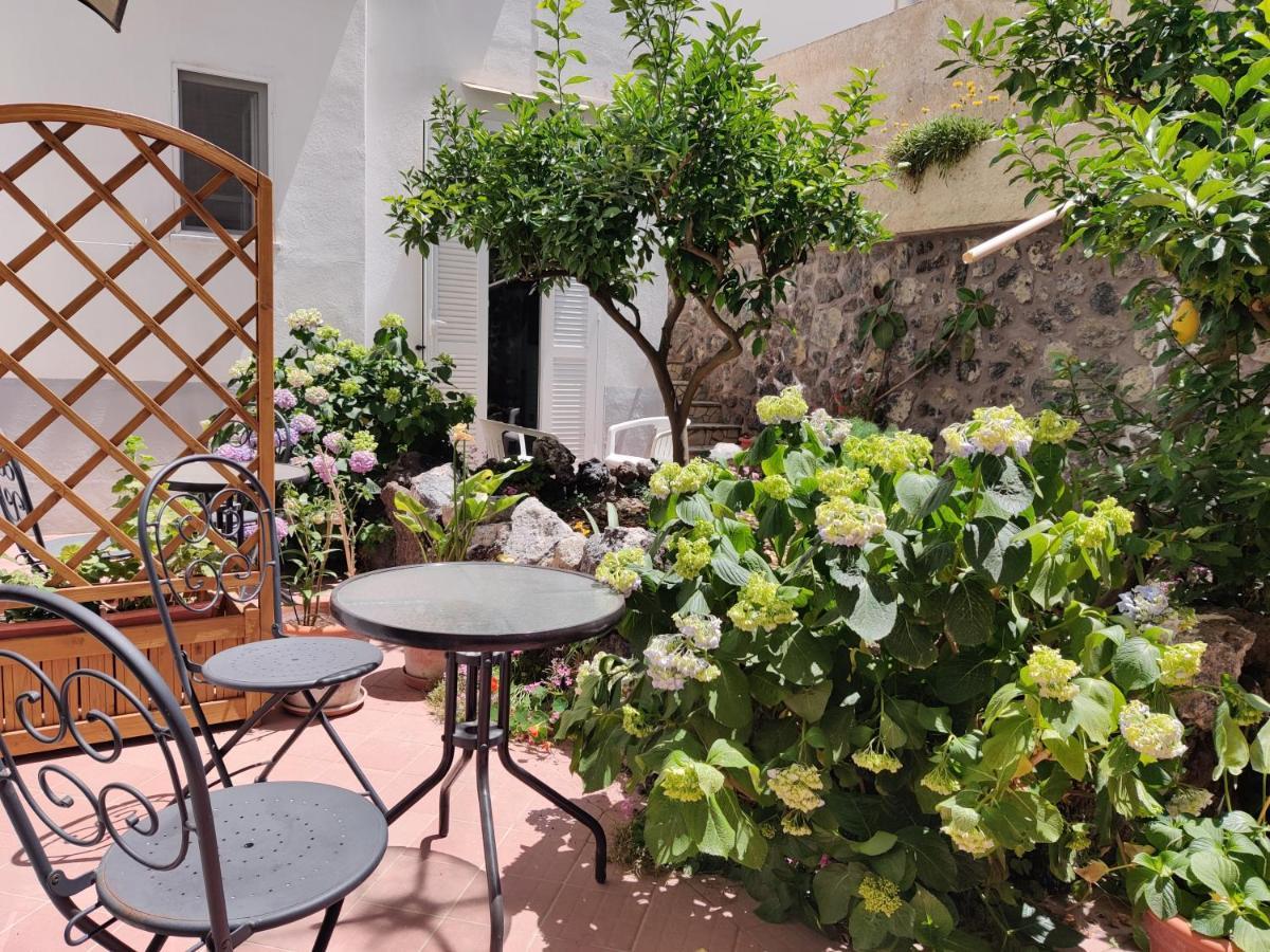 Cecilia Hotel
