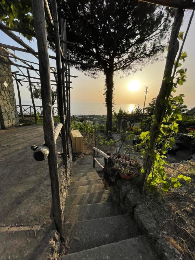 Dei Barili - Natura&relax Ischia