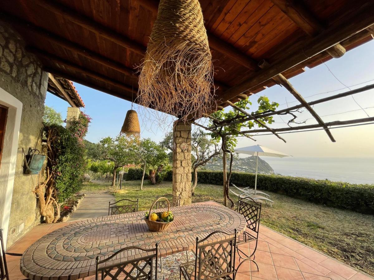 Dei Barili - Natura&relax Villa *