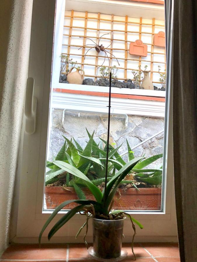 Apartment Tavernetta Sul Porto