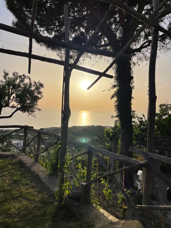 Dei Barili - Natura&relax Villa Ischia
