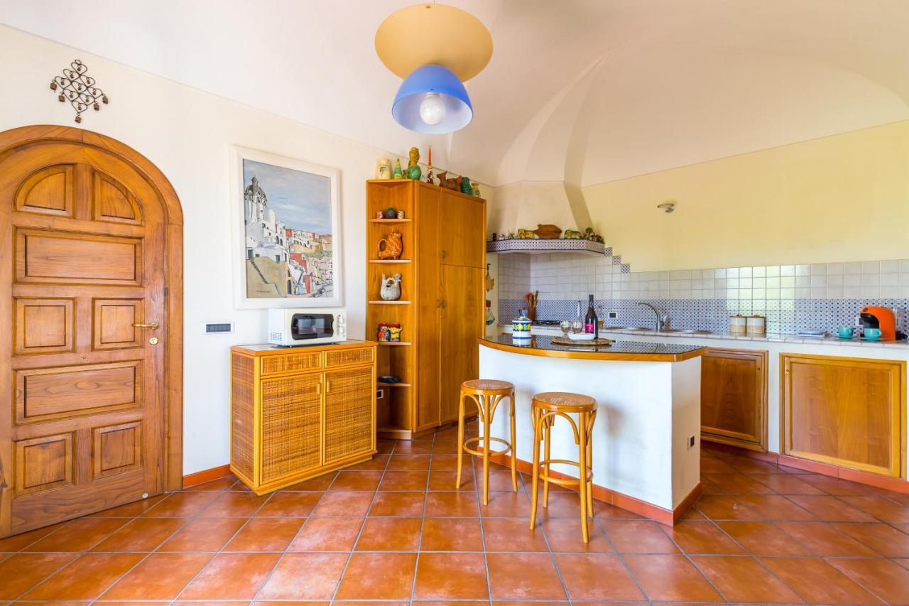 Apartment Blumarina Terrace On
