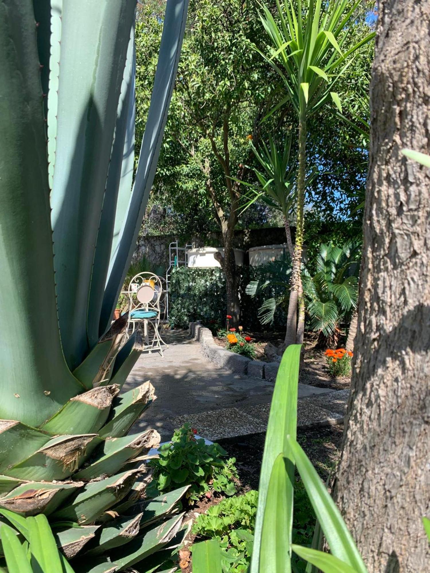 Casetta Nel Giardino -ischia *