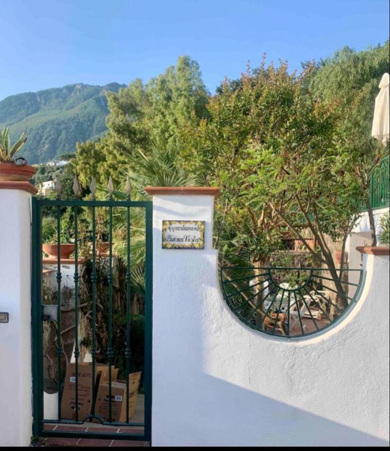 Apartment Buena Vista Ischia