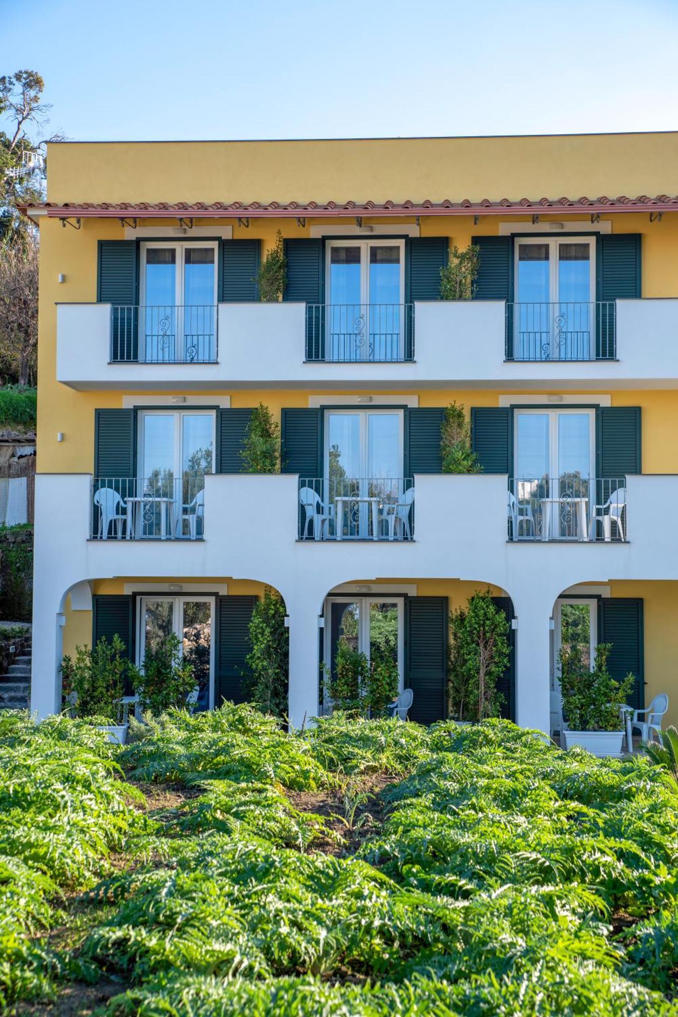 Guest house La Vigna - Ponte Ischia
