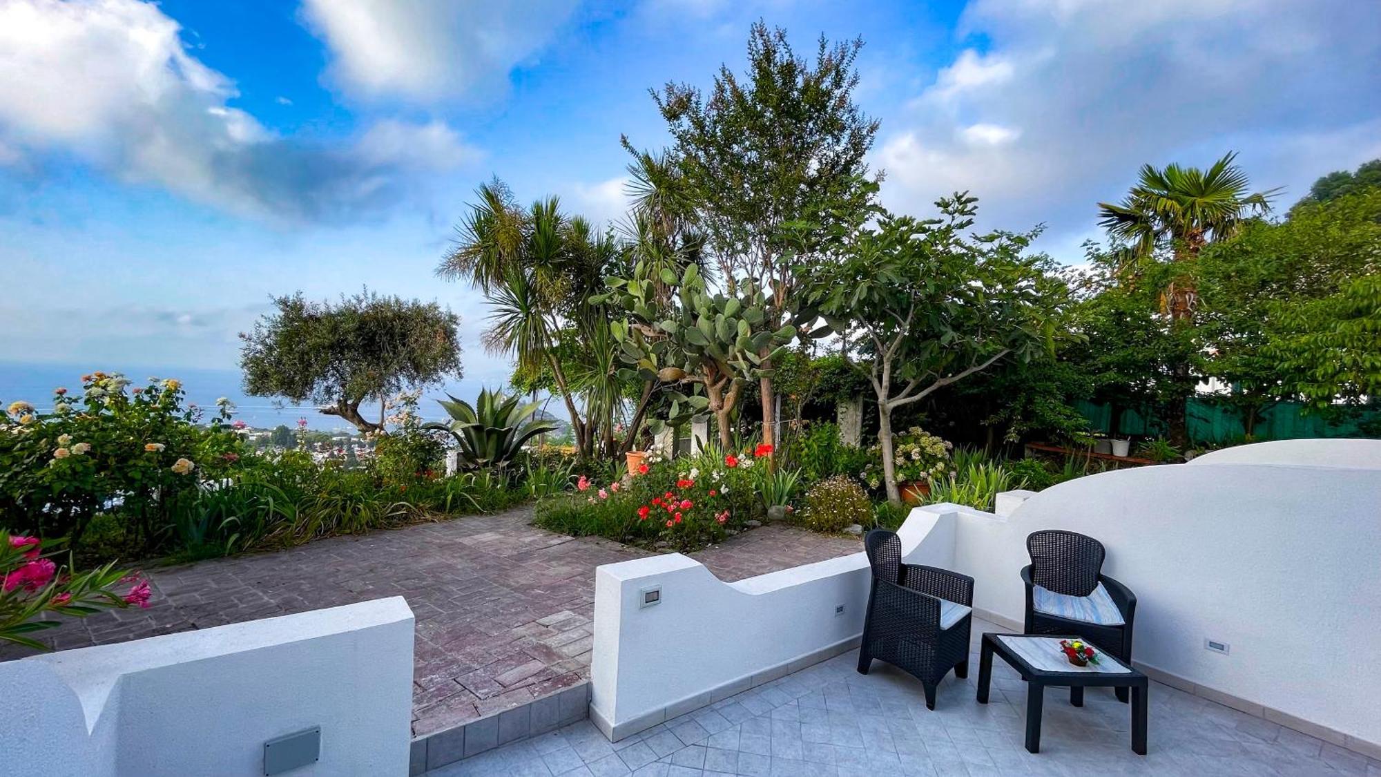 Bed & Breakfast Barracudasuite Ischia