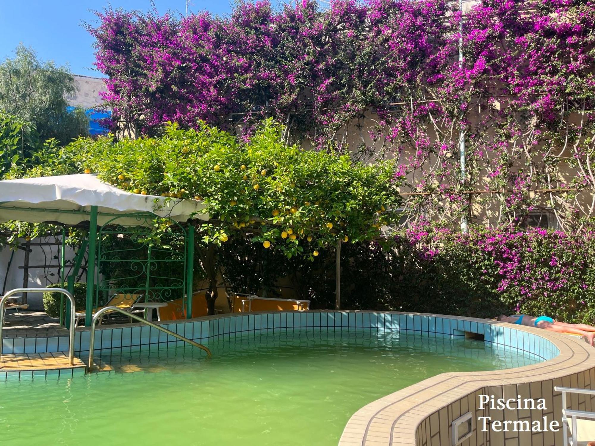 Hotel Ciccio 3*