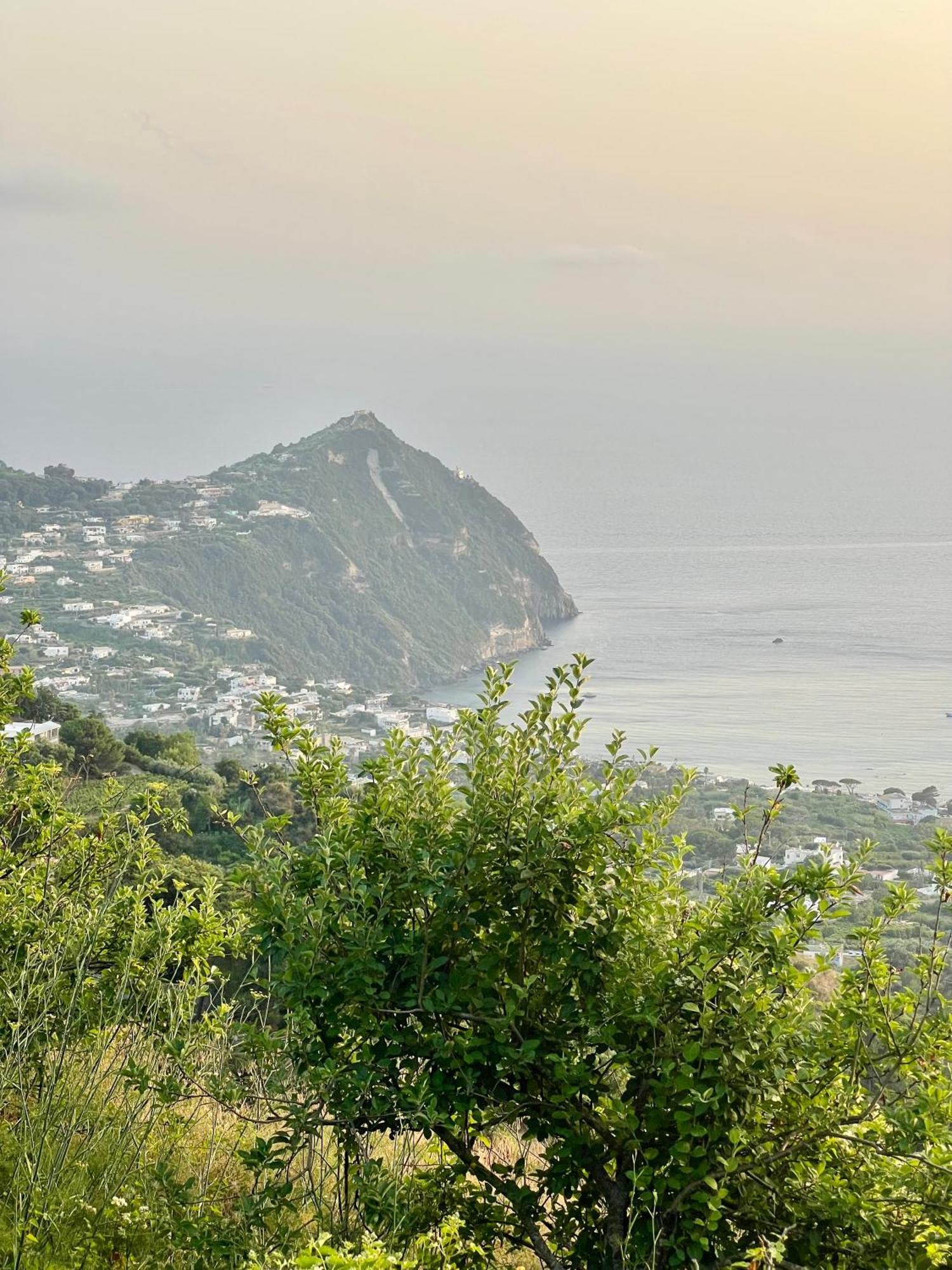 Tenuta Le Maria Al Monte Sole * Ischia