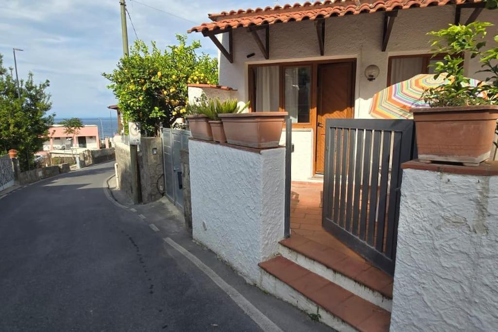 La Malti Accogliente Vicino Al Mare Ed Al Centro Di Lacco Ameno Apartment