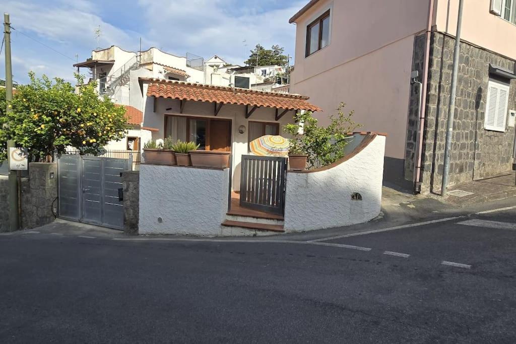 Apartment La Malti Accogliente Vicino Al Mare Ed Al Centro Di Lacco Ameno Ischia