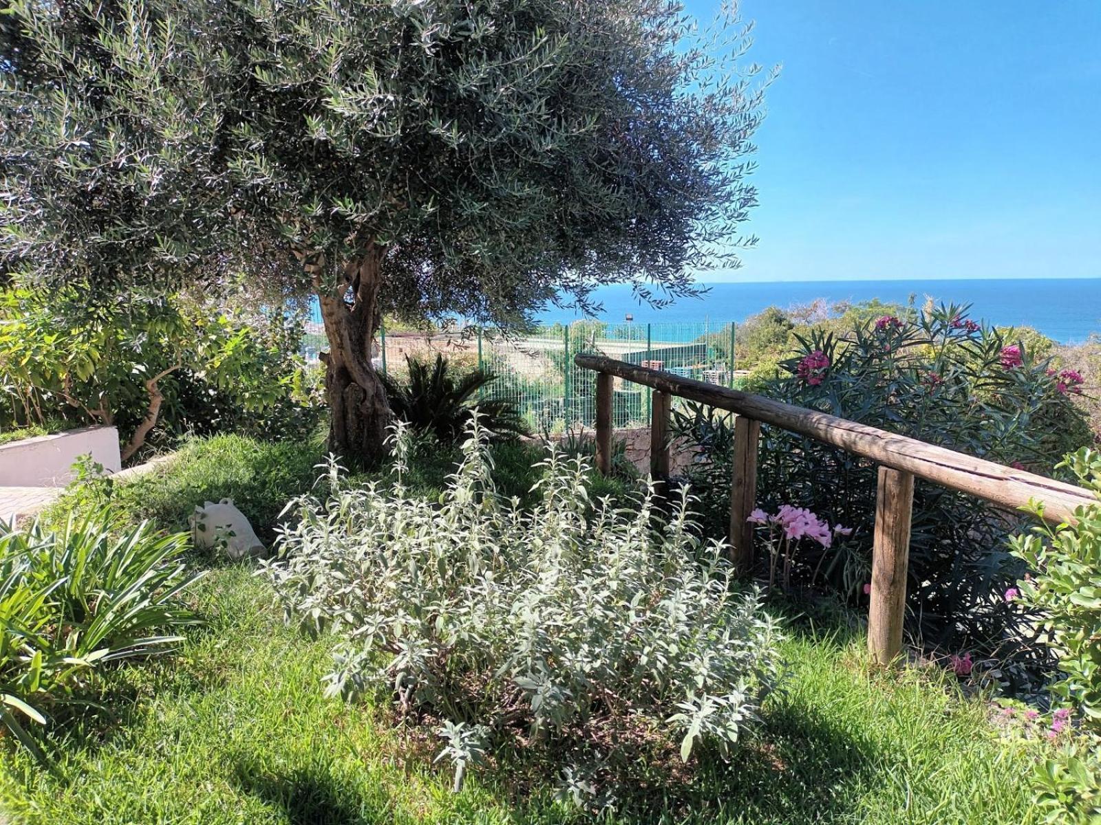 Apartment L'ulivo