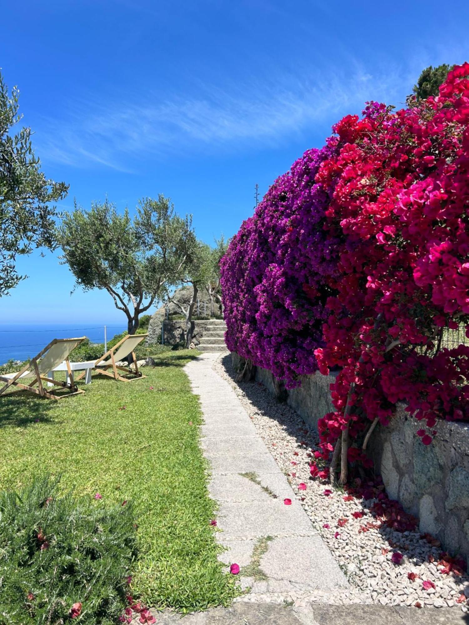 Inarime Ischia