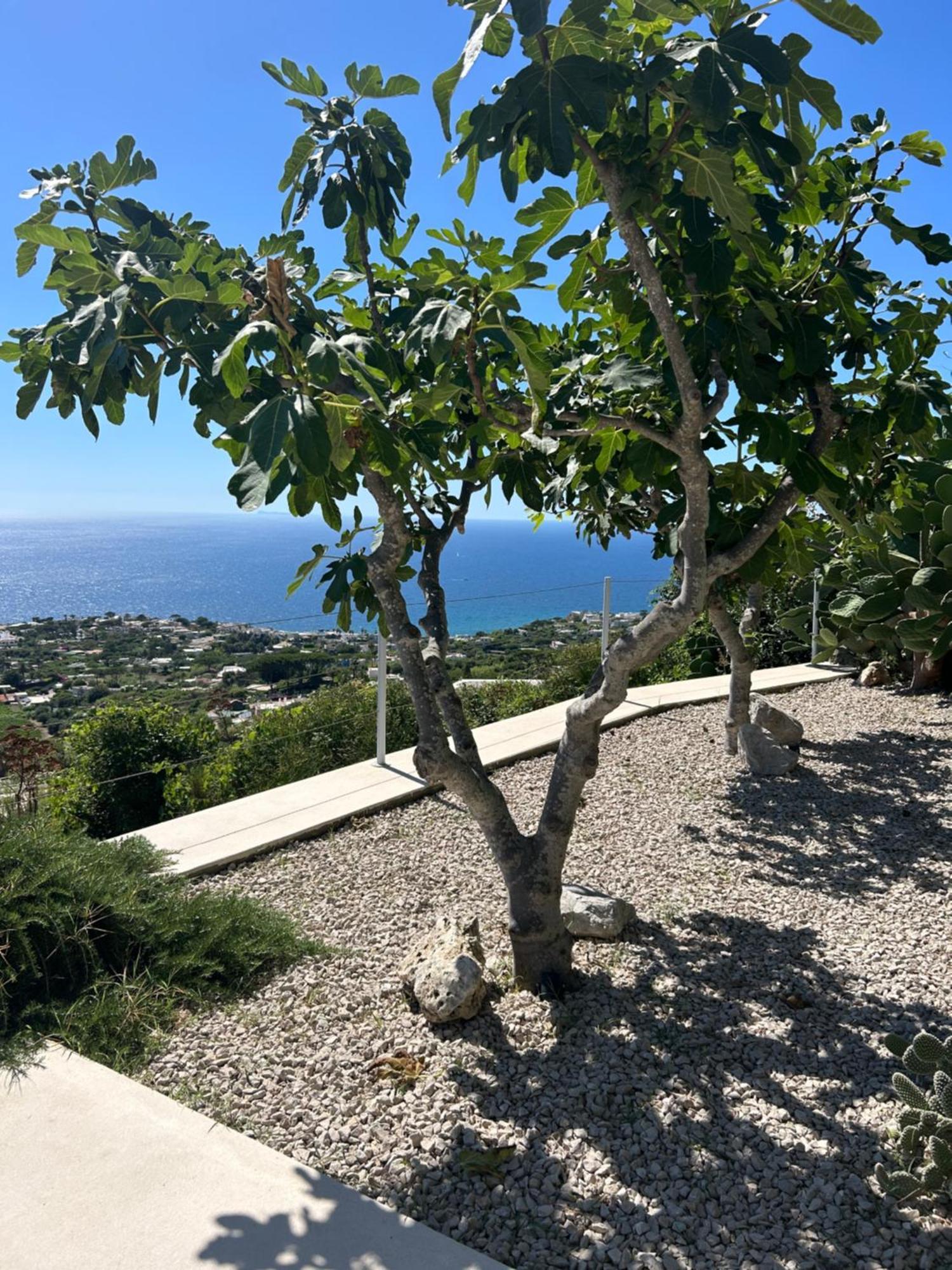 Inarime Villa *
