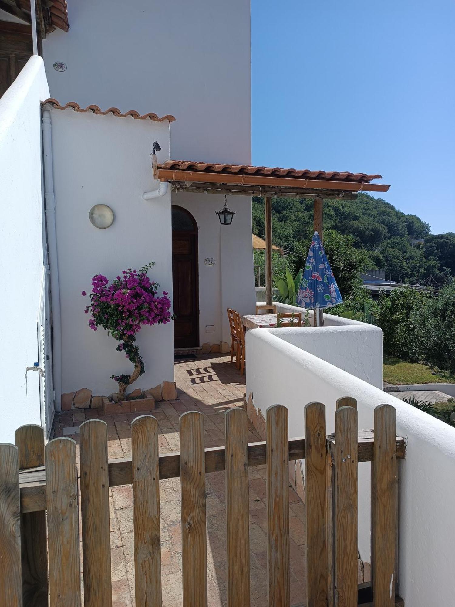 Apartment La Strelizia Ischia
