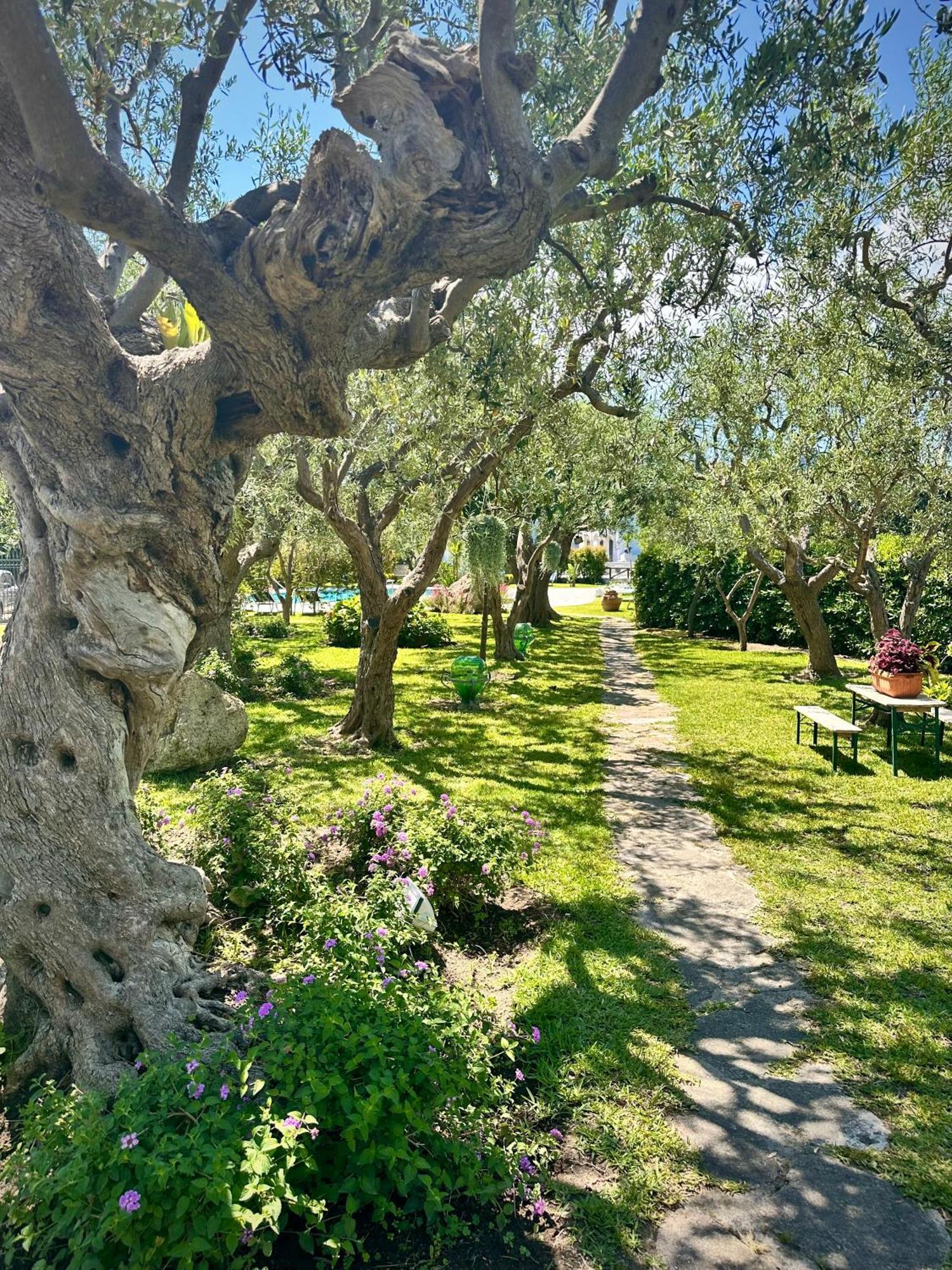 Boutique Hotel Ischia
