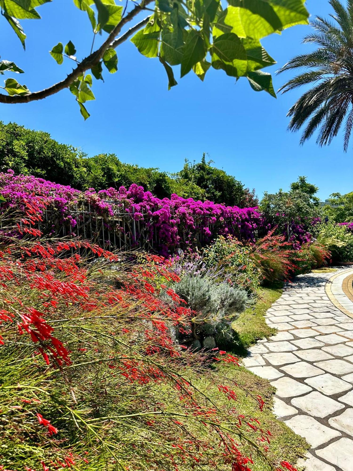 Hotel Boutique Ischia