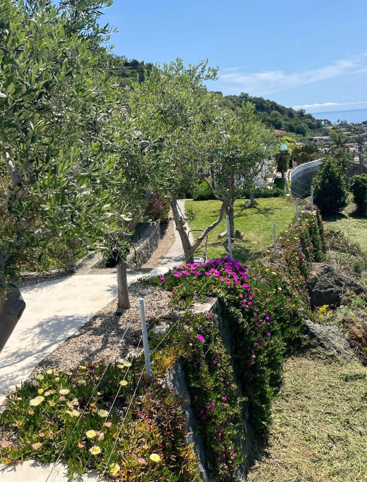 Inarime Villa