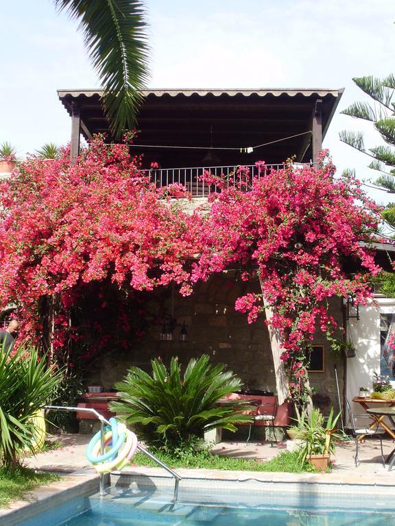 Casa Vacanze Il Pozzo Ischia
