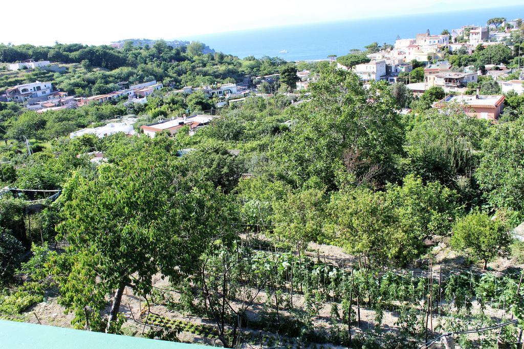 Country Club Ischia