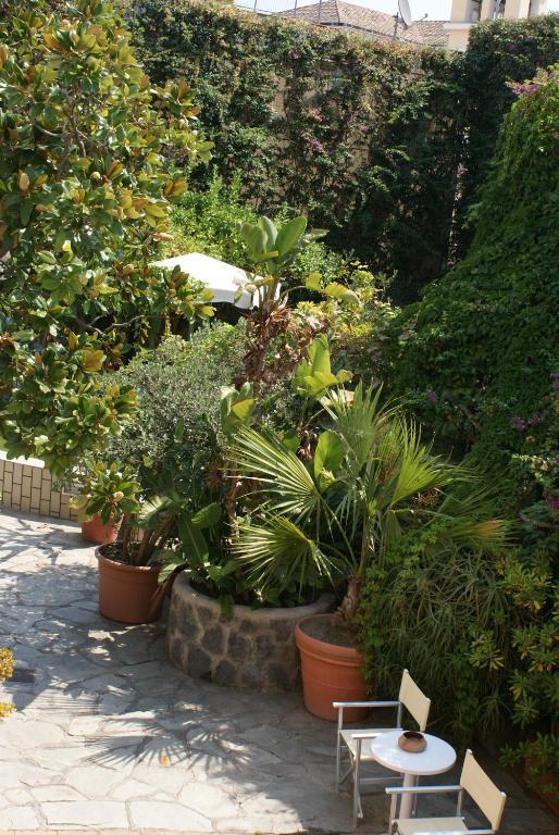 Ciccio Ischia