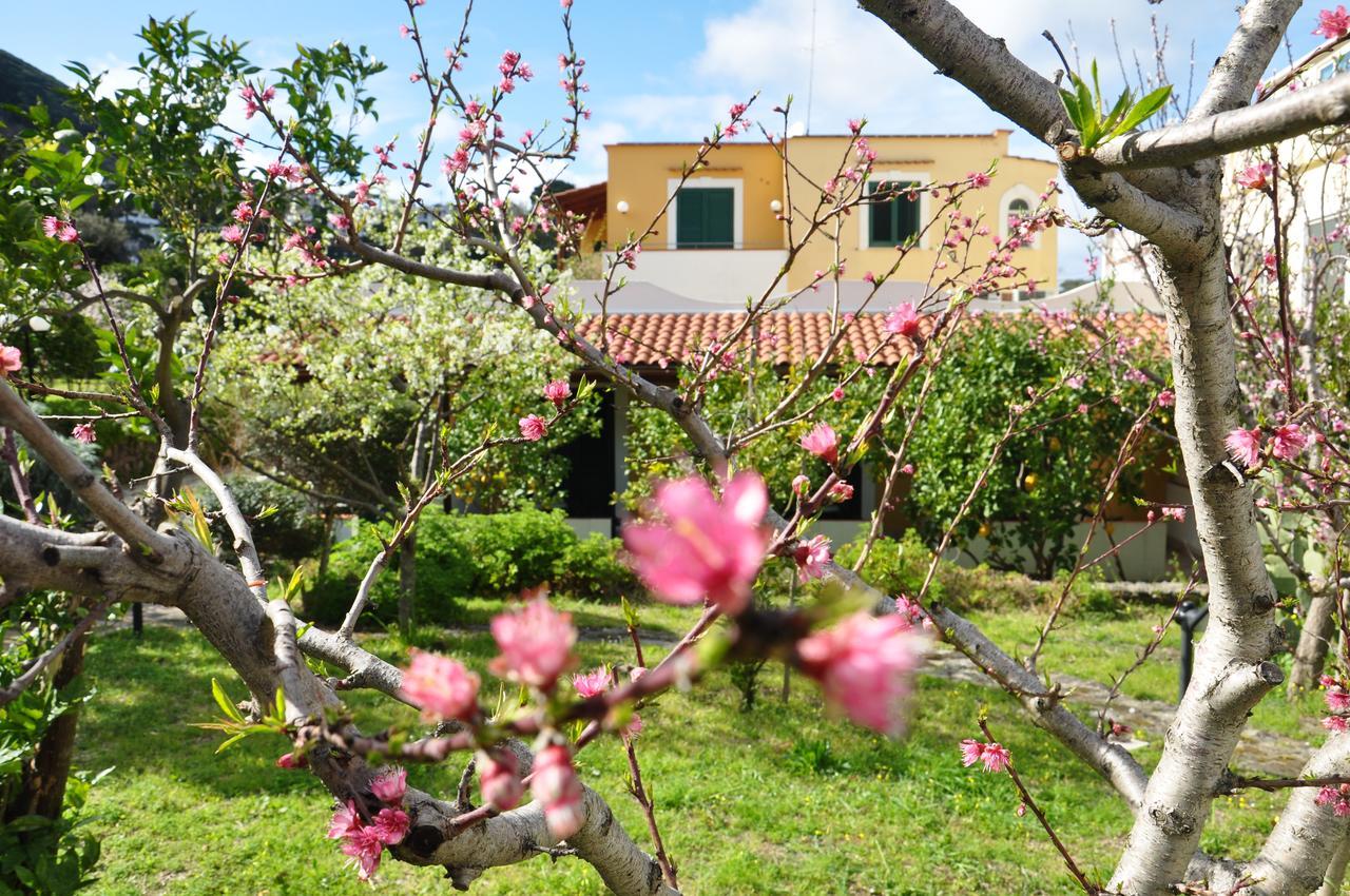 La Marticana 3*