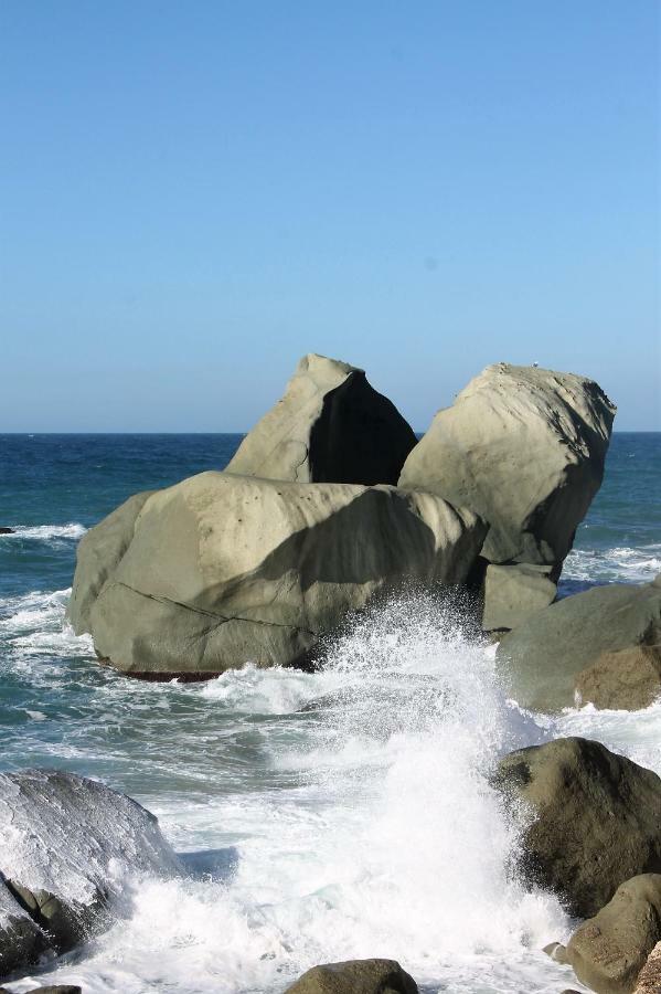Rosa Dei Venti Ischia