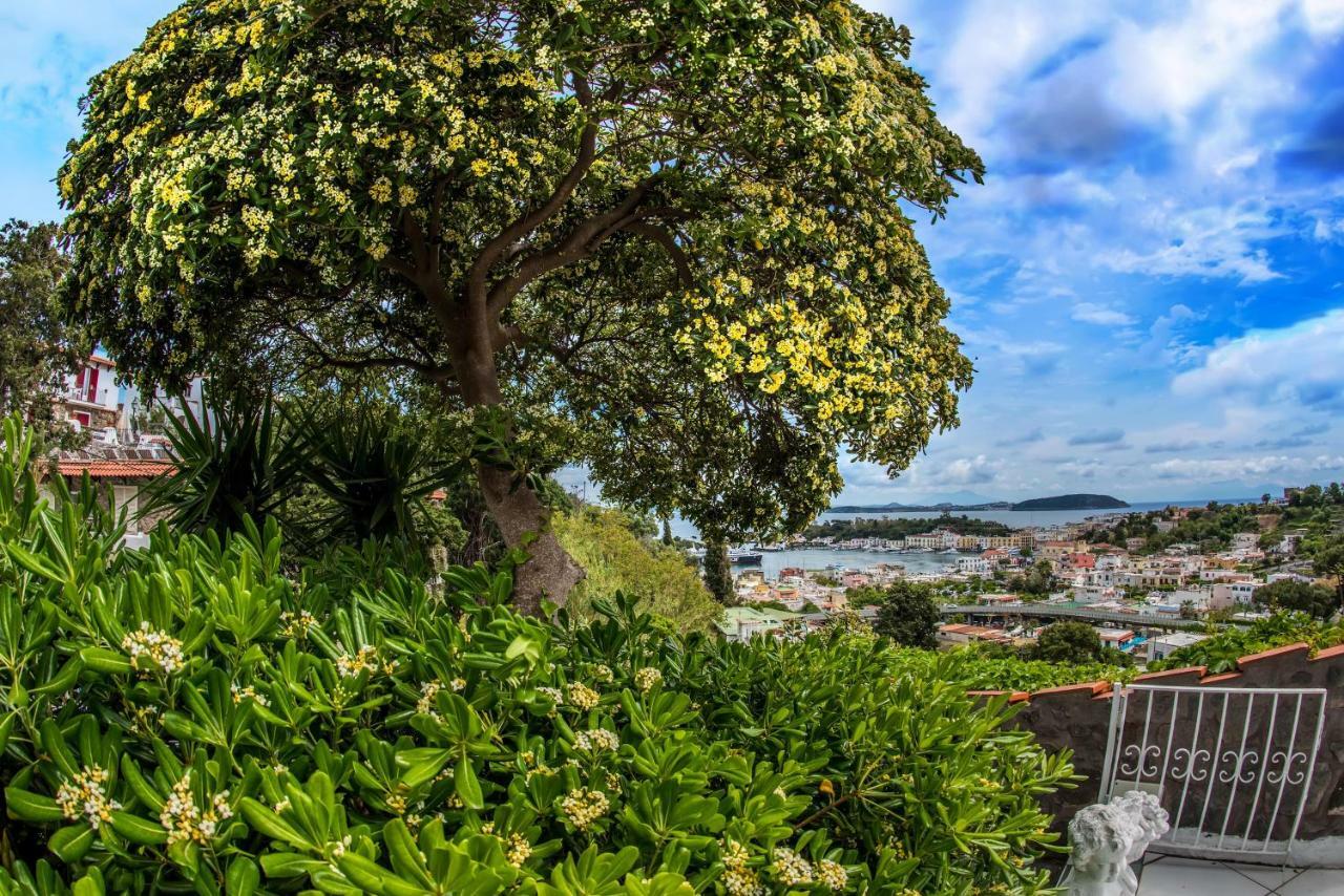 Dream Visions Ischia