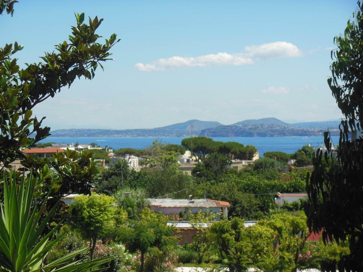 Vittoria Casa de férias Ischia