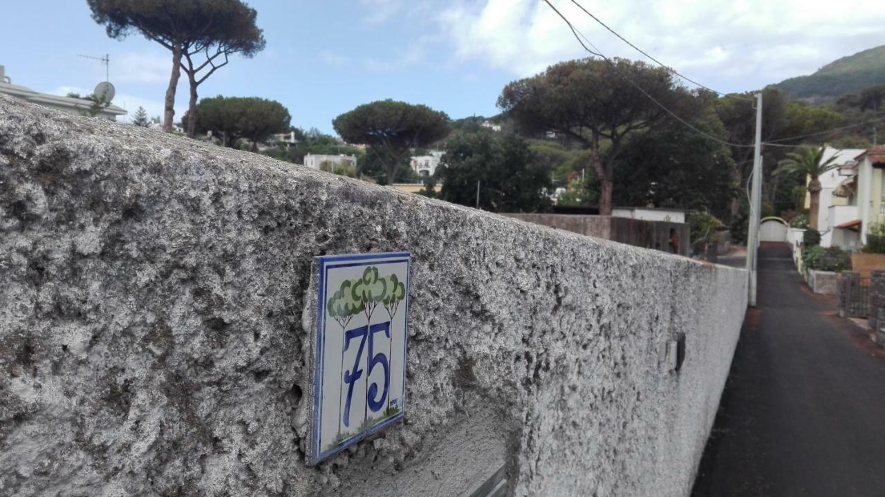Immersa Nel Holiday home *