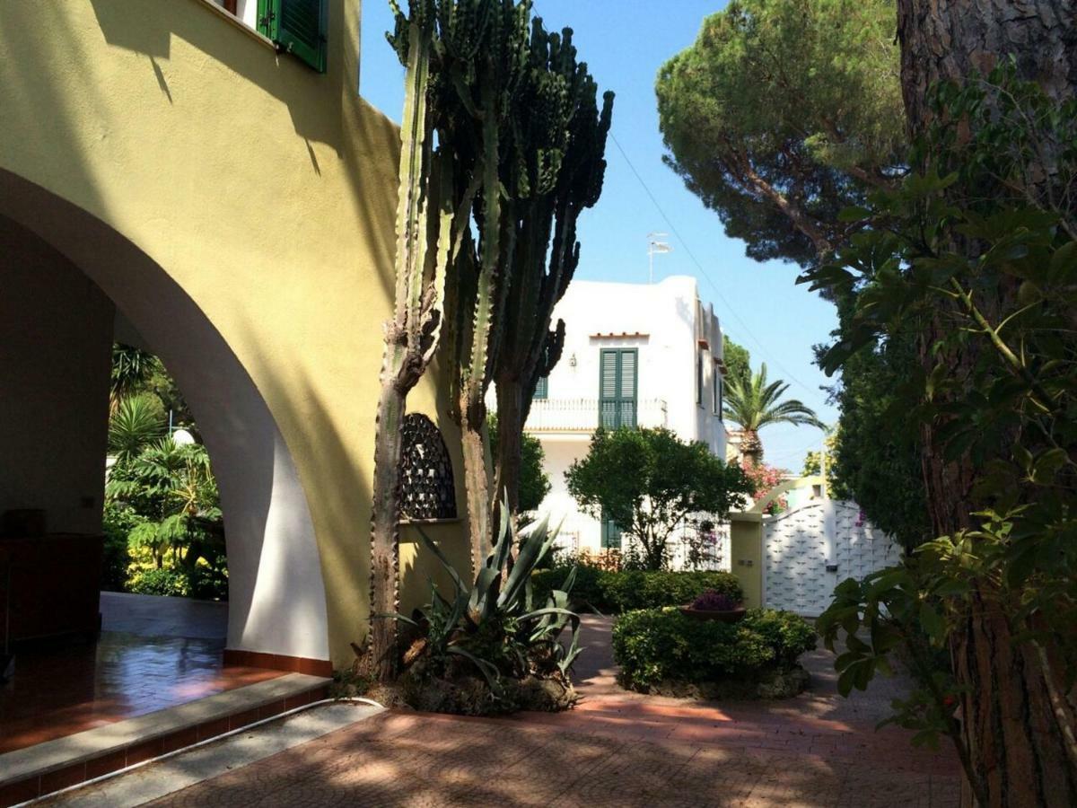 Immersa Nel Holiday home Ischia