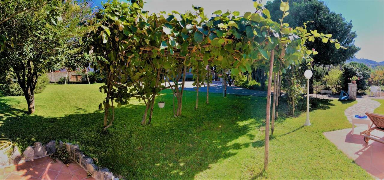Villa Joyosa *