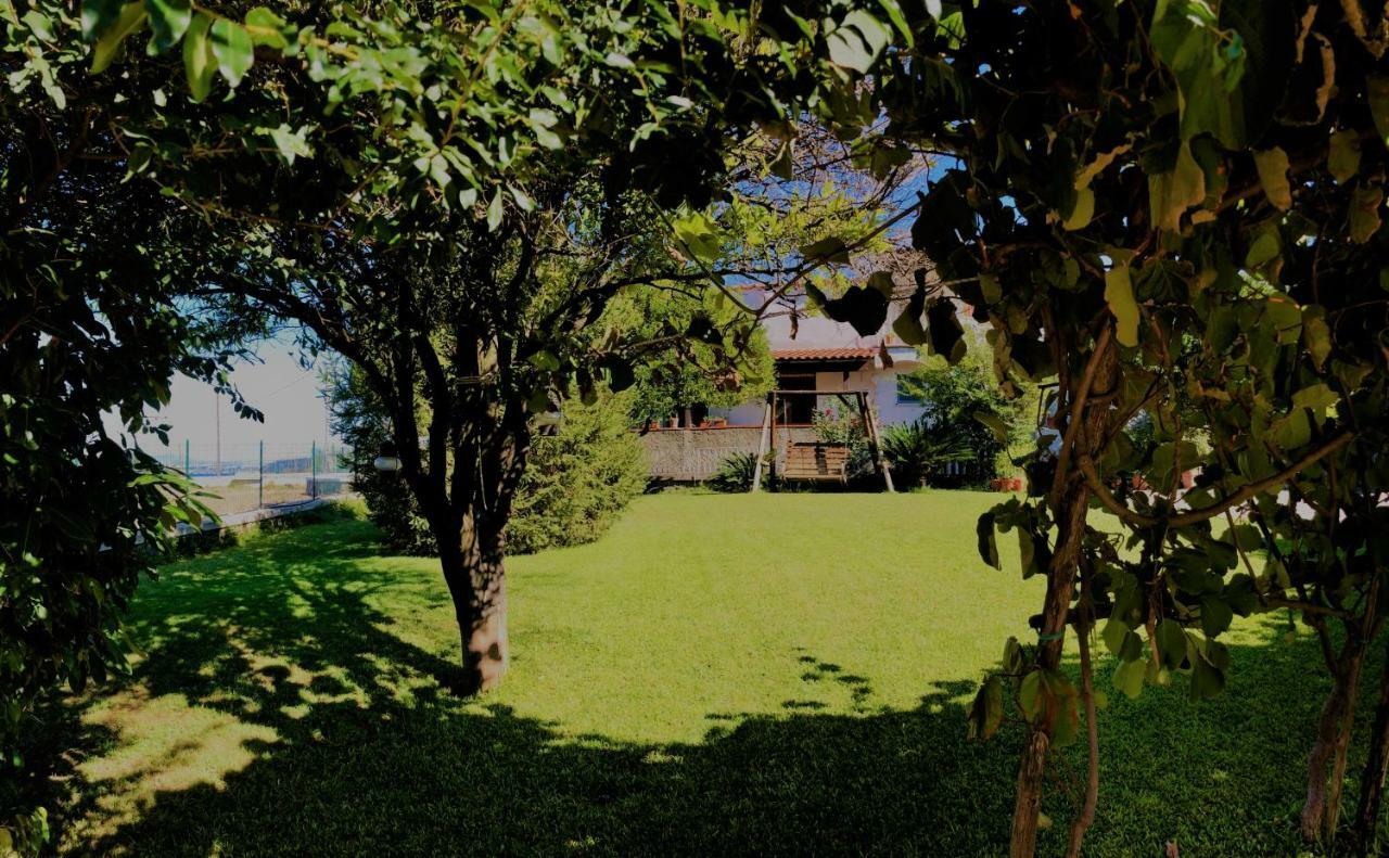 Villa Joyosa *