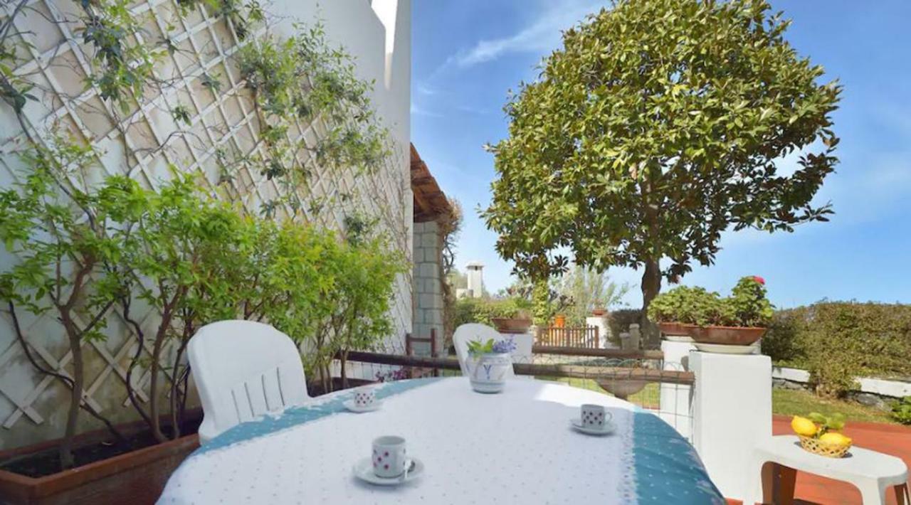 Villa Moma Giardino, Tennis E Piscina Panoramica Ischia