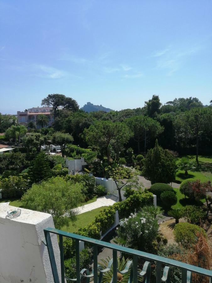 Apartment Pineta's House
