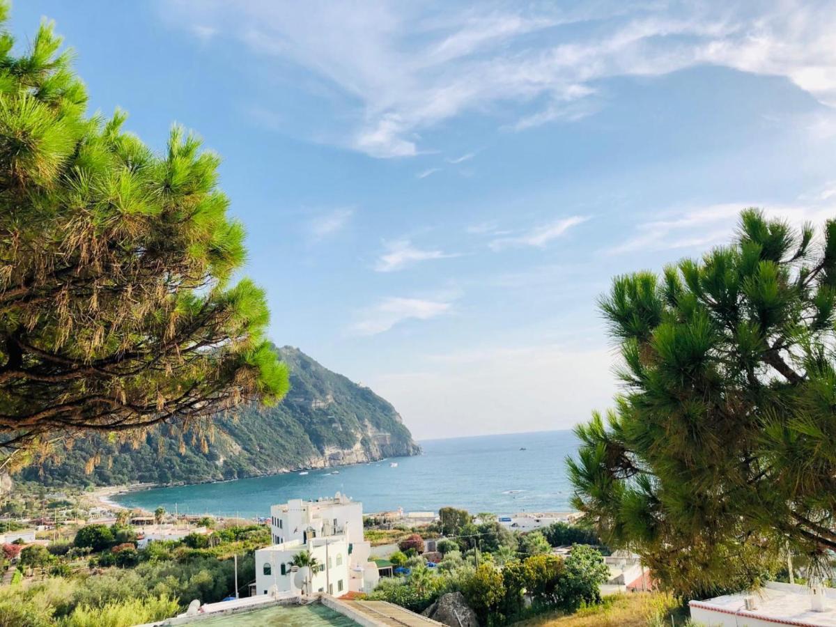 Appartamento Casa Le Soleil *
