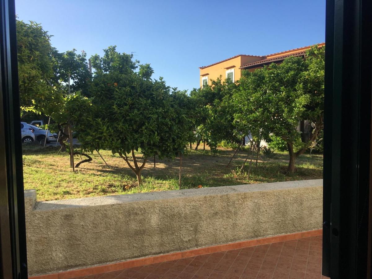 La Finestra Sul Giardino *